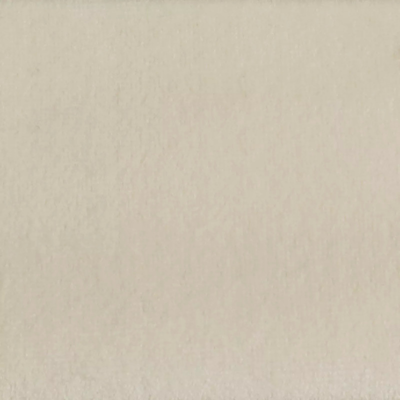 Paris Velvet Fabric