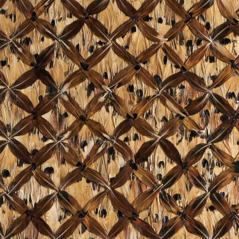 Tiger Feathers Tiger Feathers